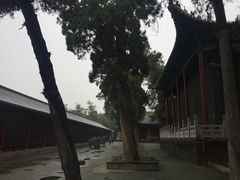 -关林