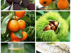 -东山风景区(洞庭东山)