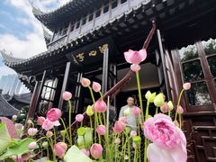 -豫园湖心亭茶楼