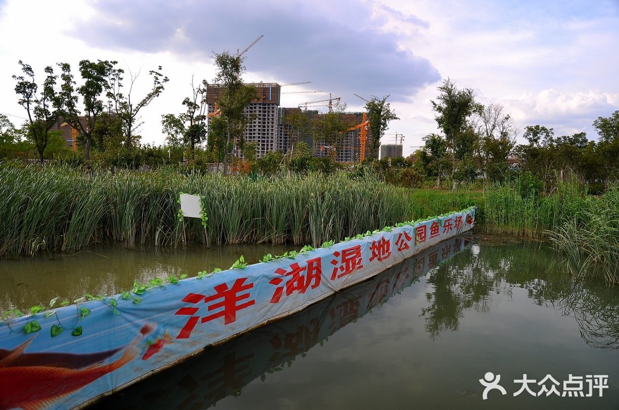 湿地公园中的游乐场