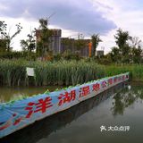 湿地公园中的游乐场