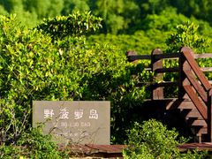 -东寨港红树林旅游区