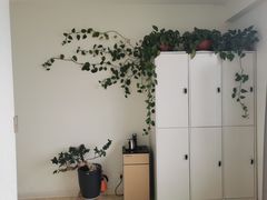 -星美科技皮肤管理中心(国贸店)