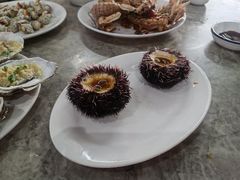 海胆蒸蛋-四川小胡子海鲜(丁村万人海鲜广场店)