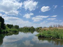 -捞渔河湿地公园
