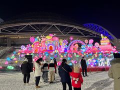 -沈阳奥体冰雪嘉年华