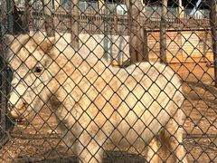 -大连森林动物园