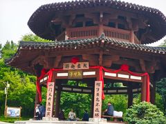 -帽儿山风景区