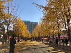 -辽宁大学(崇山校区)
