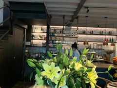 -Apollo·西班牙小酒馆(安福路店)