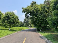 -张坝桂圆林公园