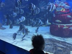 -顺德南宏海立方海洋公园