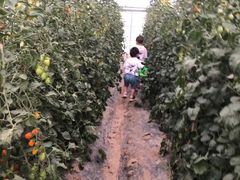 -菊园百果园