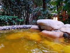 -天目湖涵田半山温泉