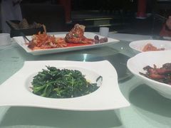 -松鹤楼(山塘街店)