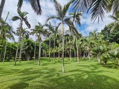 -中国科学院西双版纳热带植物园