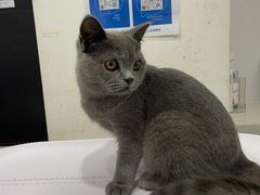 -爱诺动物医院(崂山店)