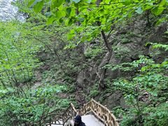 -洛阳白云山景区