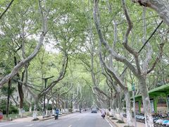 -太子山公园(园东路)