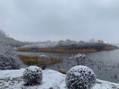 -丁香湖公园