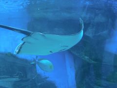 -泉城欧乐堡海洋极地世界
