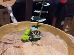 -巴奴毛肚火锅(广益哥伦布店)
