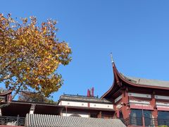 -楼外楼(西湖景区孤山路店)