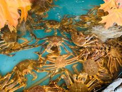 -耕海蟹将军(万象城店)