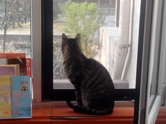 -惠康宠物医院(华能路店)