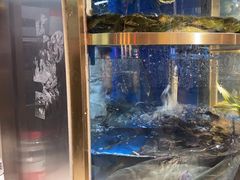 -蜀滋香鲜鱼美蛙火锅(339店)