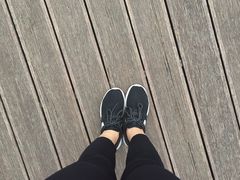 -金鸡山公园