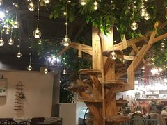 -共舞时光猫咖·狗咖(新街口店)
