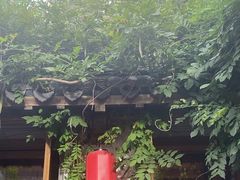 -鲤院·新中式美学·庭院餐厅(夫子庙店)