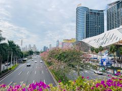 -南宁市凤岭儿童公园