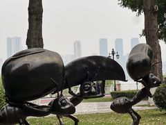 -武汉两江游览·夜游长江(汉口粤汉码头)