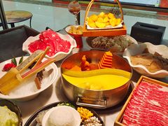 -澳美徕·港式花胶鸡火锅(高新万达店)