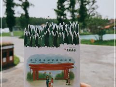 -黄海国家森林公园