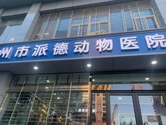 -pd派德宠物中心医院24H急重症·眼科中心·血液透析中心(嵩山北路店)