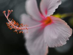 -维乐口腔医院(星海湾分院)