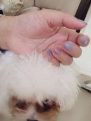 -印奈儿美甲手足护理机构