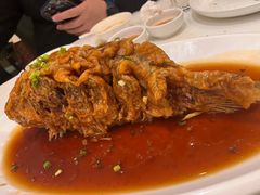 -金春禧(世茂国际广场店)