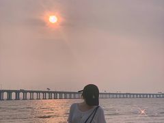 -宝安西湾红树林湿地公园