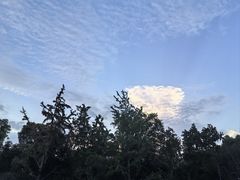 -上海滨江森林公园