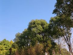 -春花秋色城市公园