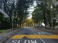 -大埔公路-马料水段香港中文大学(公交站)