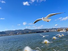 -海埂大坝