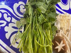 -东道煮牛肉火锅(东盛大街店)