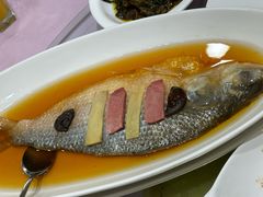 火焖鲥鱼-顺风海鲜港(金玉兰店)