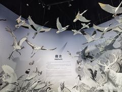 -中国湿地博物馆
