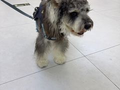 -达爱动物医院·犬猫分区·CT·复杂眼科(远洋山水分院)